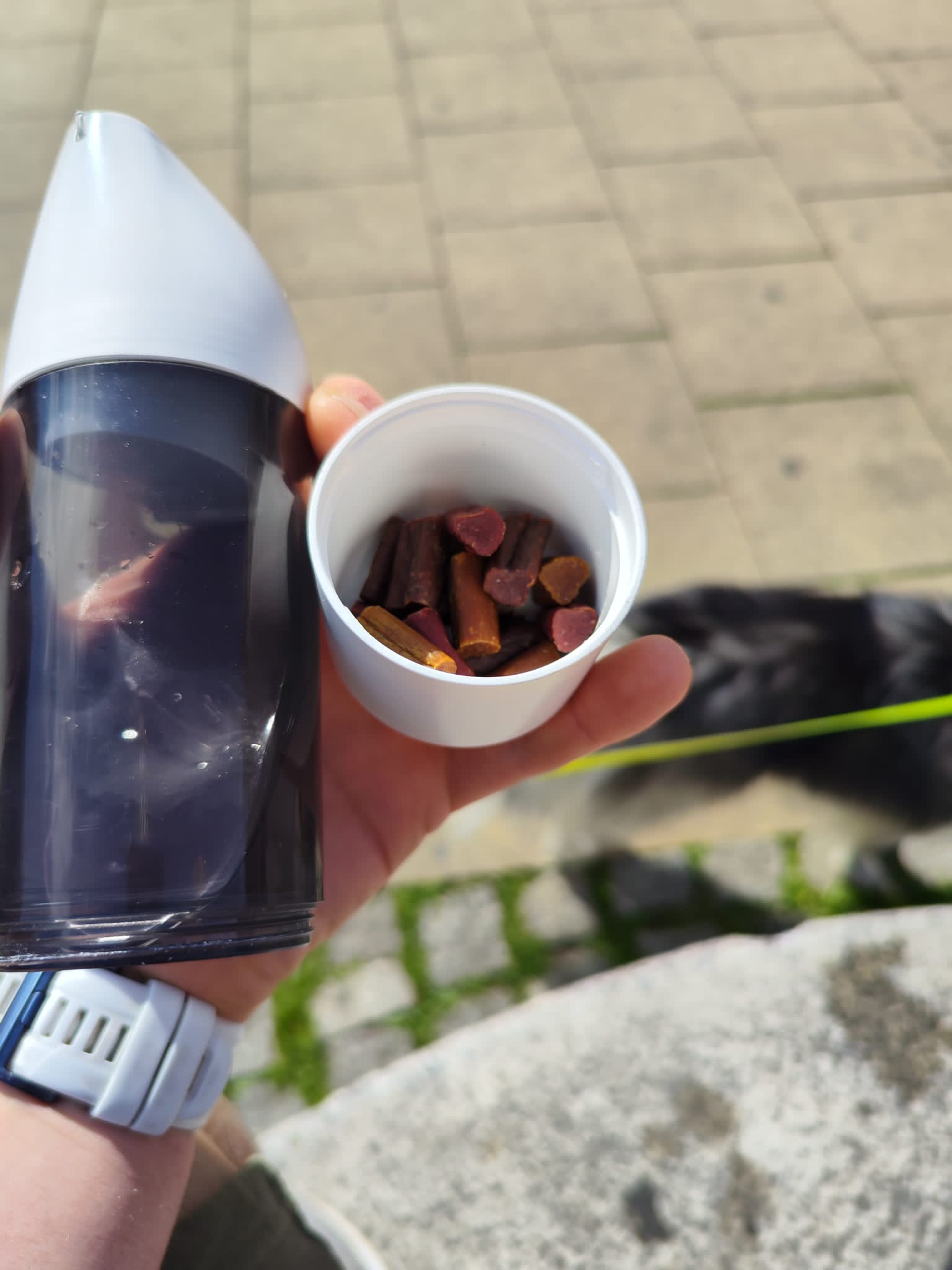 Ausziehbare Hunde Trinkflasche