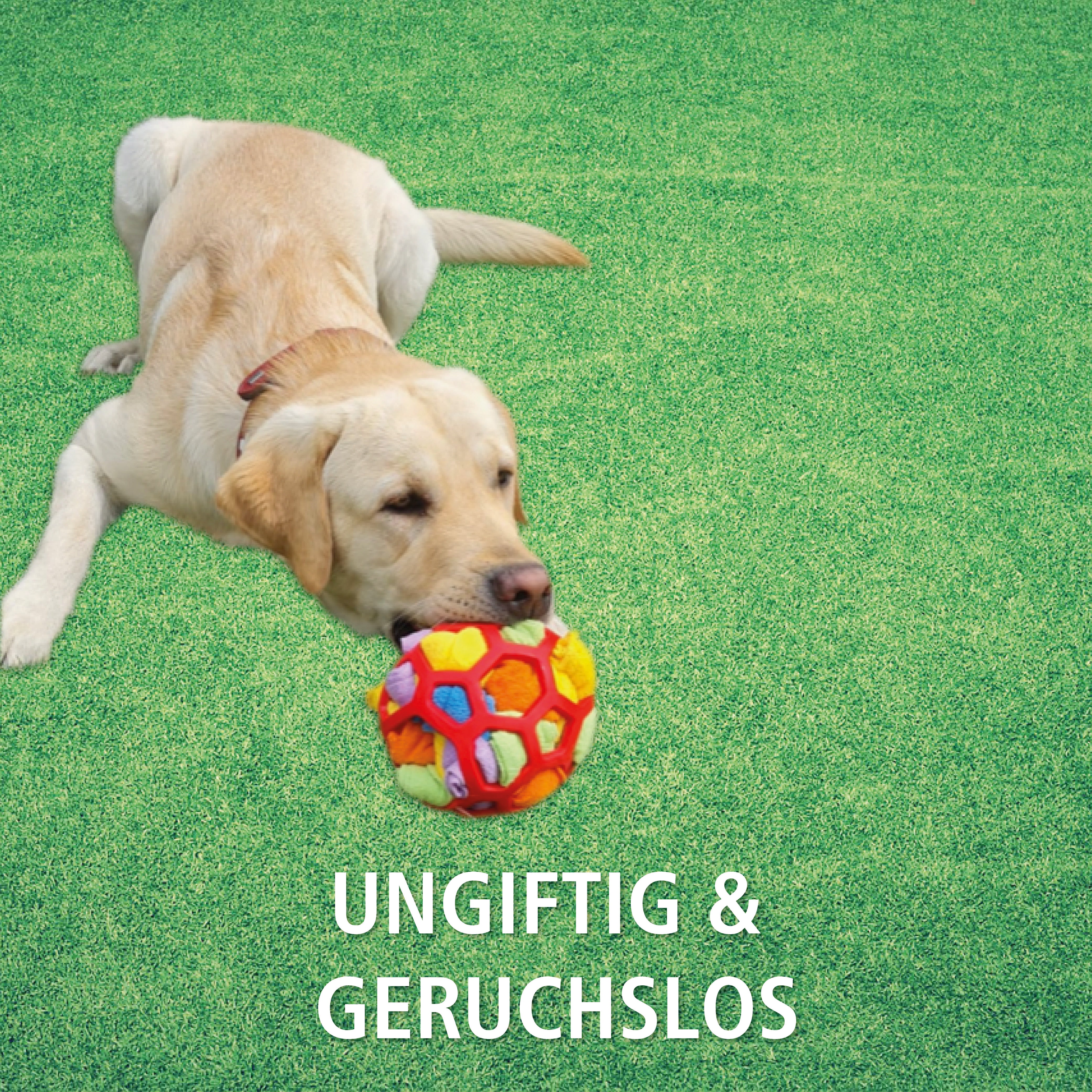 Schnüffelball