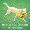 Schnüffelball