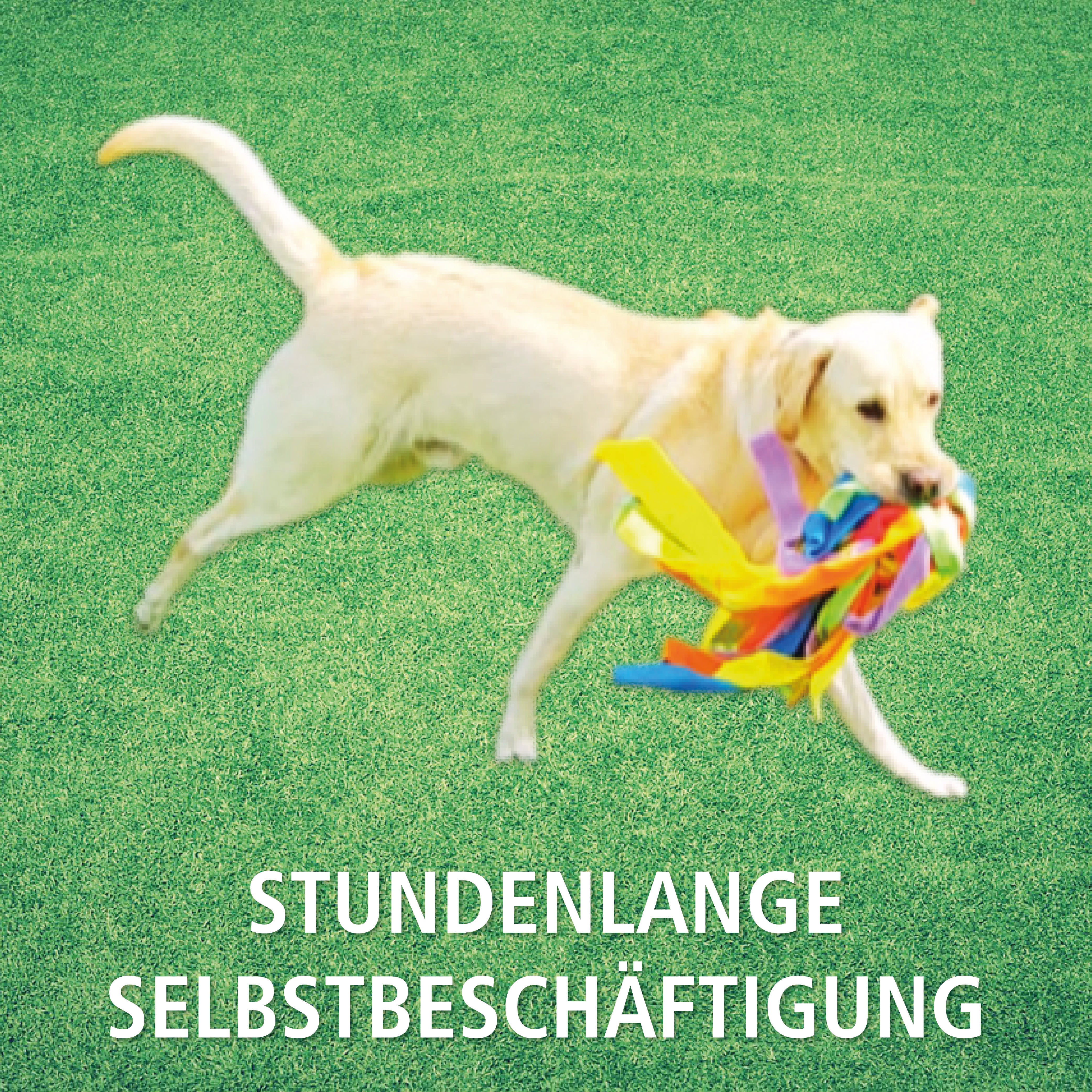 Schnüffelball