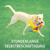Schnüffelball