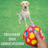 Schnüffelball