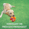 Schnüffelball