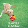 Schnüffelball